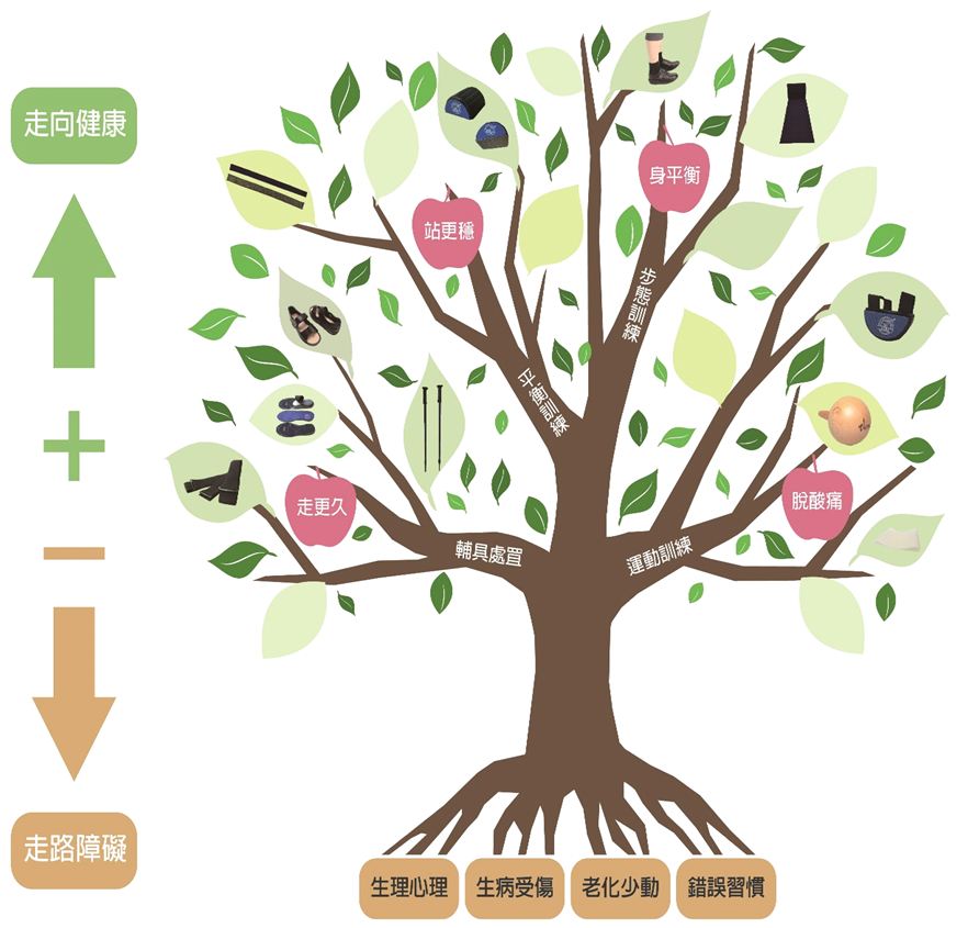 走路促進健康術/樹 ,幫助大家獲得走路促進健康的方法。