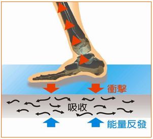 制震與隔震的差異