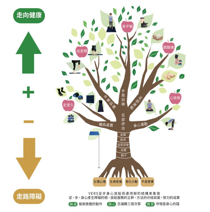 VERS足步身心放鬆術(FGMRT)架構圖：以健康樹呈現足部評估為核心，向上發展出輔具處置、平衡與步態訓練、足部與身心運動等走向健康的四大分枝；向下探討生理心理、生病受傷、老化少動、不良習慣等四種走路障礙之根。