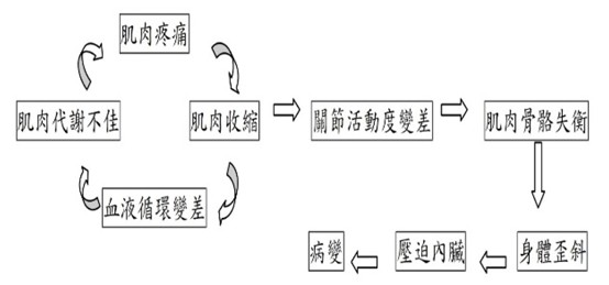 足部與痠痛惡性循環流程圖:從肌肉疼痛、循環變差到肌肉骨骼失衡與身體歪斜