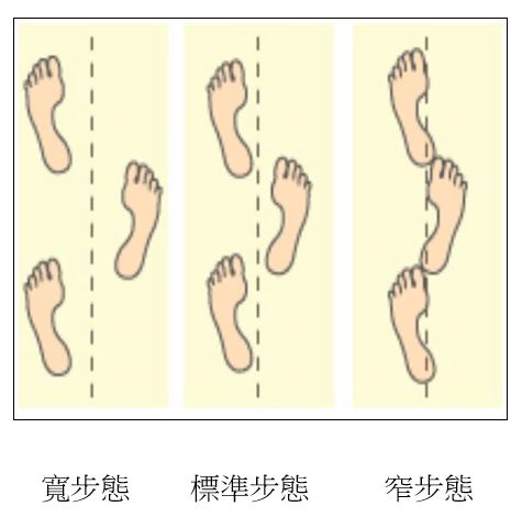 日常走路步態軌跡對照圖：寬步態、標準步態與窄步態